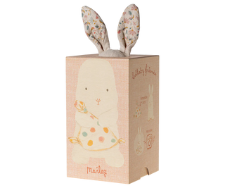 Lullaby friends  - bunny nature