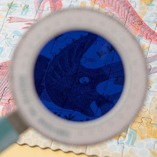 Discover the dinosaurs puzzle