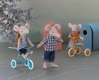 Abri à tricycle Petrol