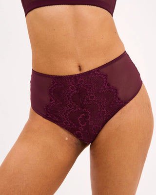 Lace Mesh Highwaist Briefs - Cherry