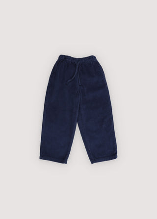 Nicol Pant Infinite Navy