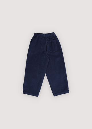 Nicol Pant Infinite Navy
