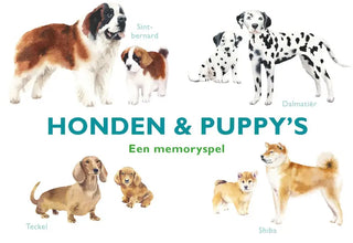 Honden & puppy's