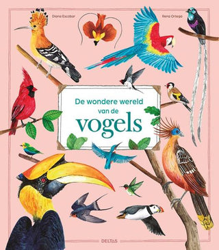 De wondere wereld van de vogels