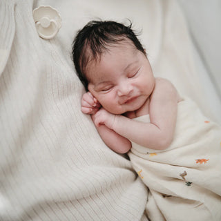 SWADDLE - dino