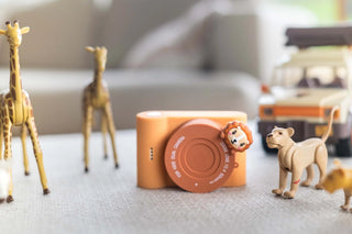 Urban zoo lion